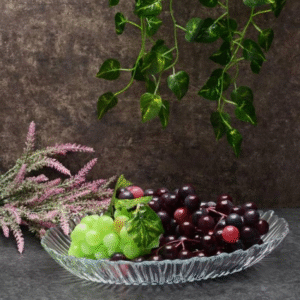 دیس بیضی پاشاباغچه مدل آرورا کد ۱۰۵۴۶