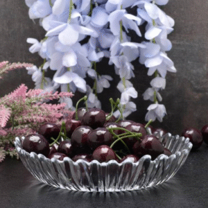 بشقاب تک پاشاباغچه مدل آرورا کد ۱۰۵۵۵